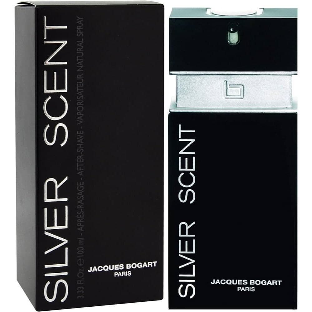 envio imediato Perfume Masculino Importado Silver 100ml ENVIO IMEDIATO