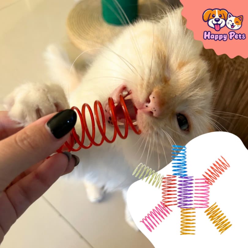 Brinquedo Da Pet Games Com 9 Molinhas Para Caçar e Brincar De Forma Divertida Segura E Saudável