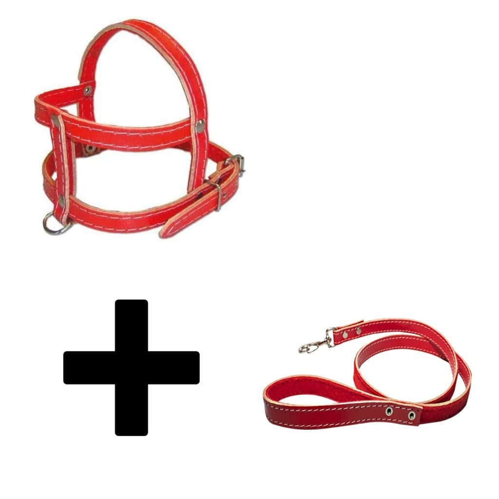 Peitoral Coleira de Couro Para Cachorro + Guia de Couro Para Cães - Coleira Couro Reforçado