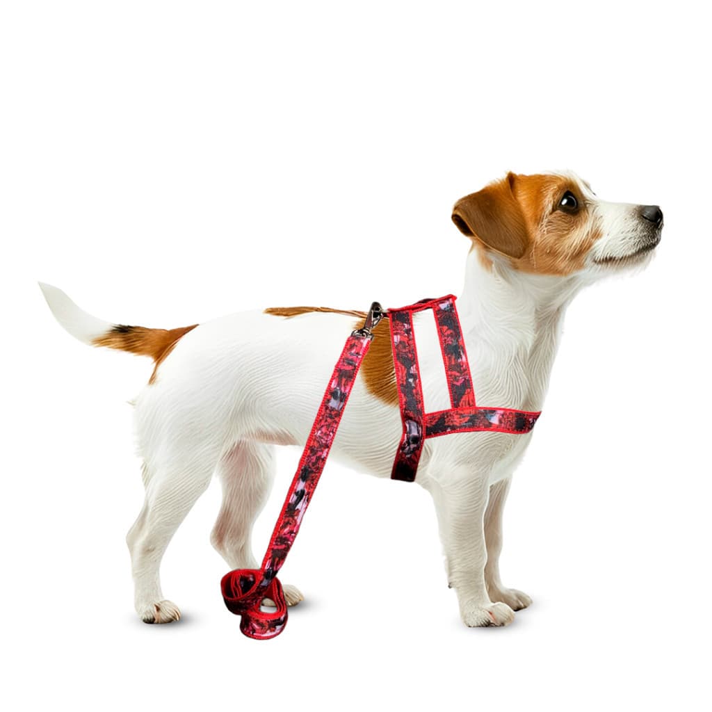 Conjunto Peitoral Com Guia Lona Luxo Xadrez Pet Para Cachorro Cão Pequeno Porte