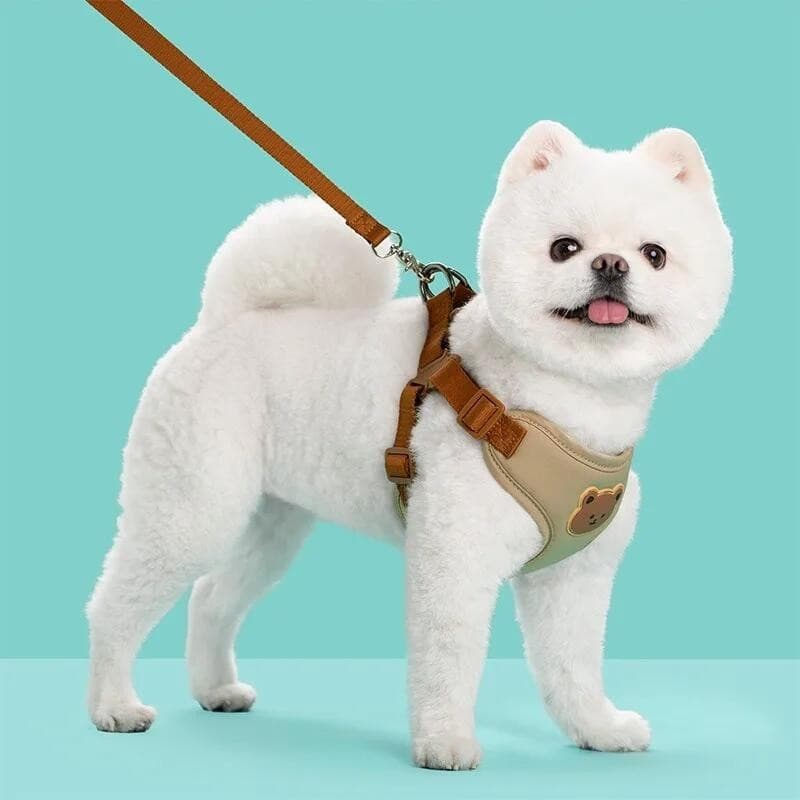 Conjunto de Coleira e Guia para Cães de Pequeno e Médio Porte, Colete Respirável para Filhotes, Coleira para Bulldog Fra