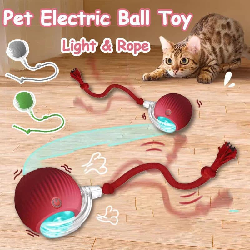 Brinquedo Bola para Gato Brincadeira Ativa Estimula Instinto de Caça Pet Toy