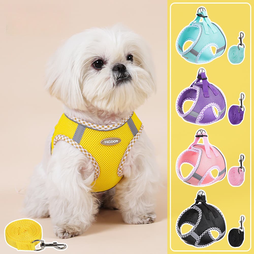 Novo Conjunto de Coleira e Guia Refletiva para Cães, Coleira Respirável à Prova de Fuga para Animais de Estimação, Guia 