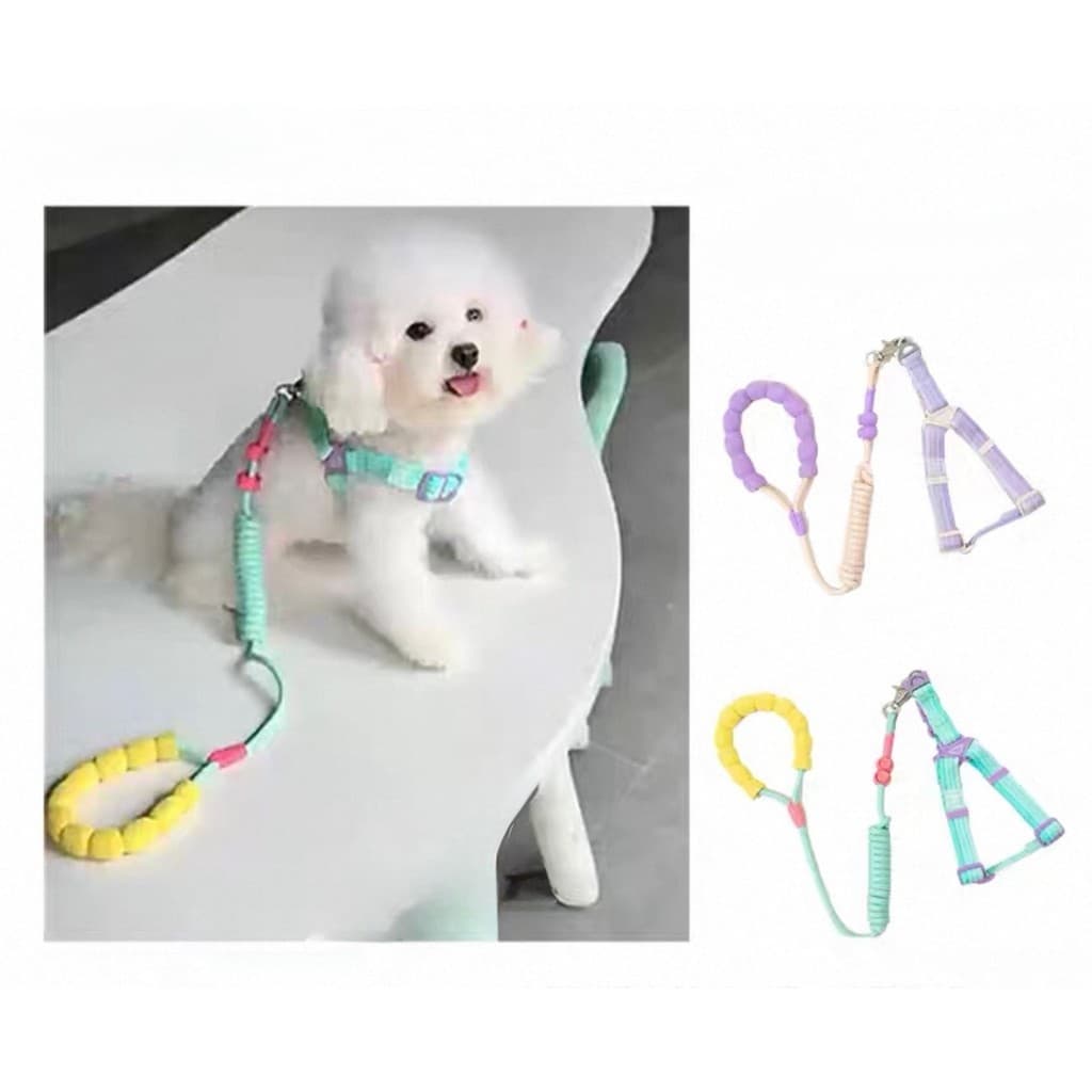 coleiras com guia cão pet para cachorro e gatos