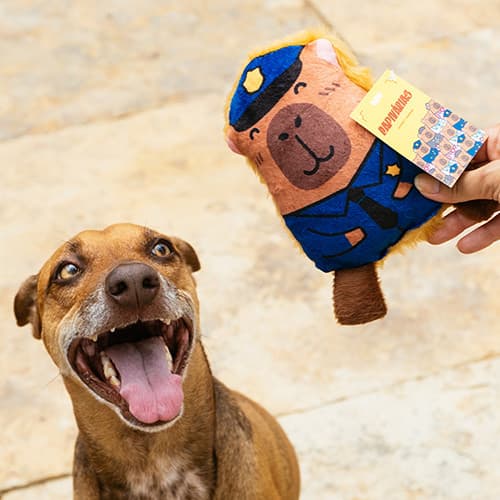 Brinquedo de Pelúcia Capitão Capivara para cachorro | brinquedo macio com apito para morder  - Petiko