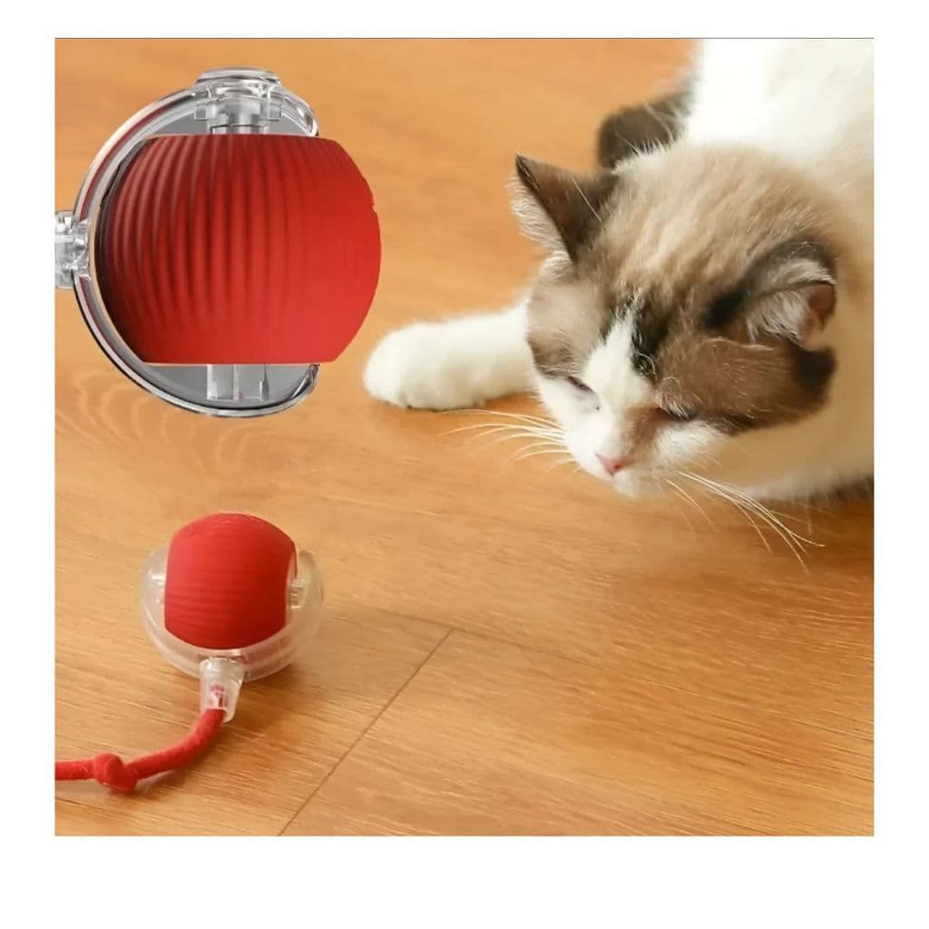 Brinquedo Bolinha Pet Gato Cachorro Eletrônica Brinquedo Recarregável