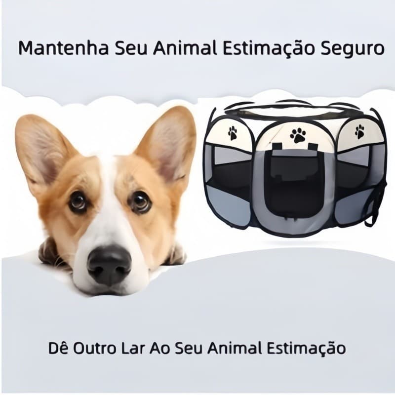Casinha Para Pets Gatos  Dobrável Portátil Cercadinho Tenda 3 Cores Tecido Oxford