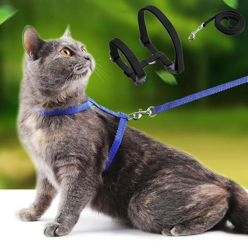 Conjunto de Coleira e Guia para Gatos, Coleiras Convenientes para Animais de Estimação, Acessórios para Gatos ao Ar Livr