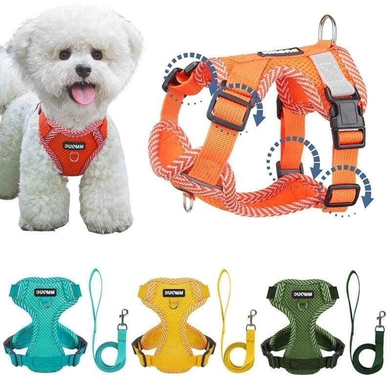 Conjunto de Coleira e Guia para Cães Pequenos com Ajuste de 4 Pontos, Coleira Refletiva em Malha para Cães, Colete Peito