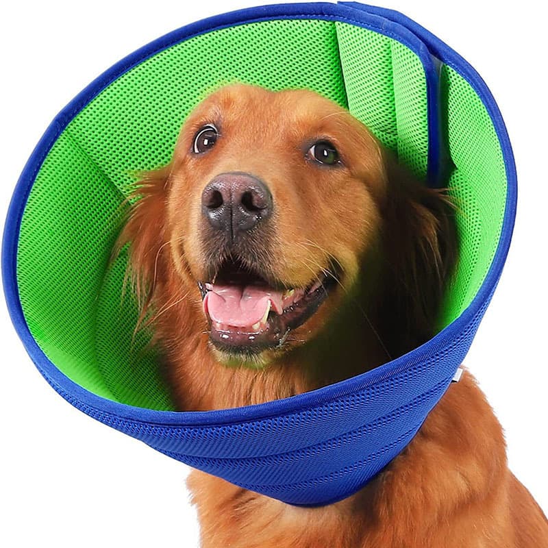 Novo Cone Macio Ajustável e Respirável para Recuperação – Coleira para Cães e Gatos, Peitoral e Guia para Pets