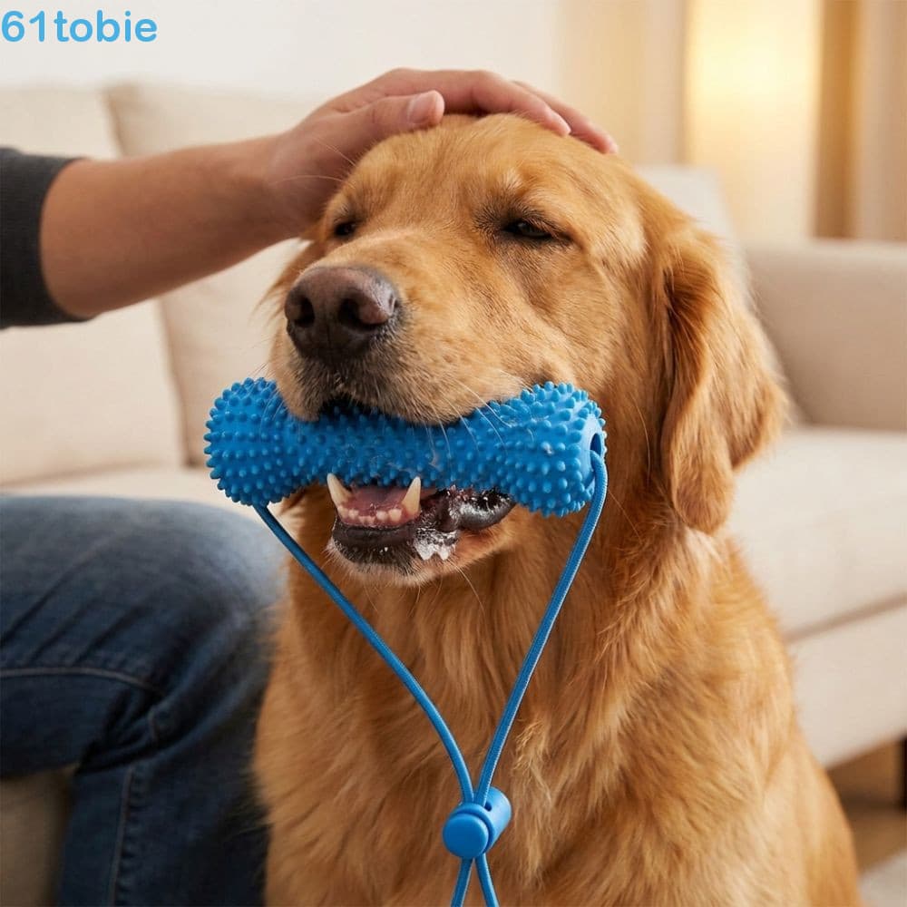 Auxílio para escovação de dentes de cachorro – Brinquedo de borracha para moer dentes e limpar gengivas. Uma ferramenta